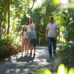 Natural Bridge and Springbrook Waterfalls Tour from Gold Coast - Natural Bridge is the day’s centerpiece
