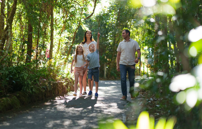 Natural Bridge and Springbrook Waterfalls Tour from Gold Coast - Natural Bridge is the day’s centerpiece