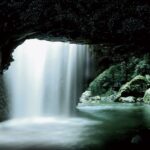 Natural Bridge Springbrook National Park Glow Worm Night Tour - Walking to Natural Bridge after dark