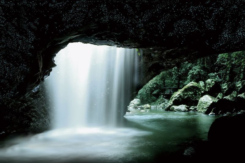 Natural Bridge Springbrook National Park Glow Worm Night Tour - Walking to Natural Bridge after dark