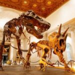 Natural History Museum Ticket in Los Angeles - Los Angeles Nature, Animals, and Dioramas