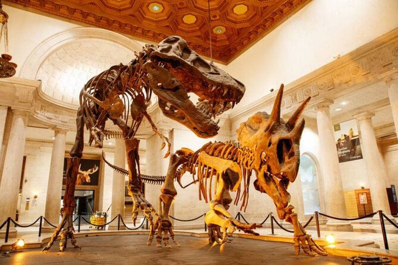 Natural History Museum Ticket in Los Angeles - Los Angeles Nature, Animals, and Dioramas