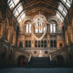Natural History Museum tour in London - Dinosaur fossils give the visit its big moment