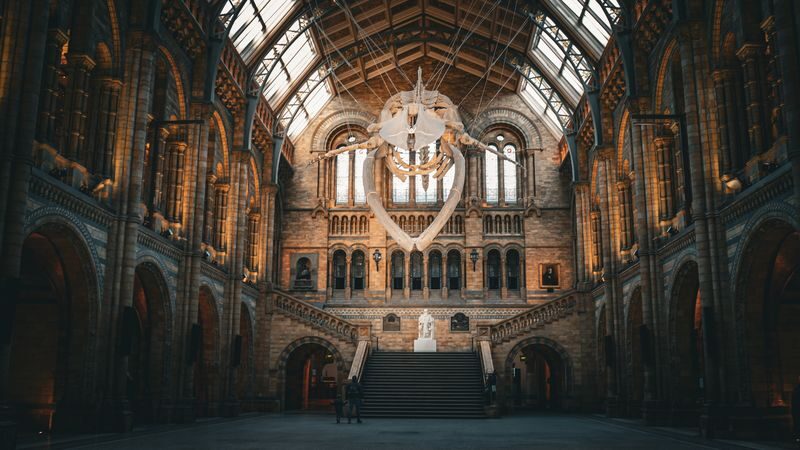 Natural History Museum tour in London - Dinosaur fossils give the visit its big moment