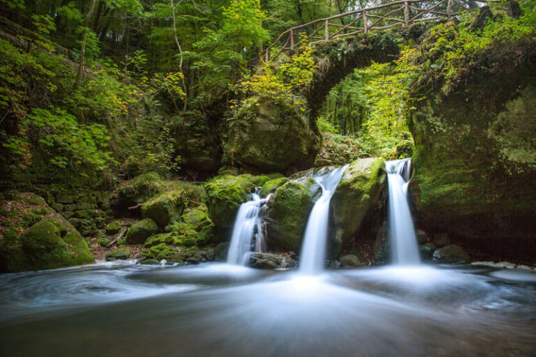 Nature and Castle Day Tour in Luxembourg - Walking to Schiessentümpel waterfall