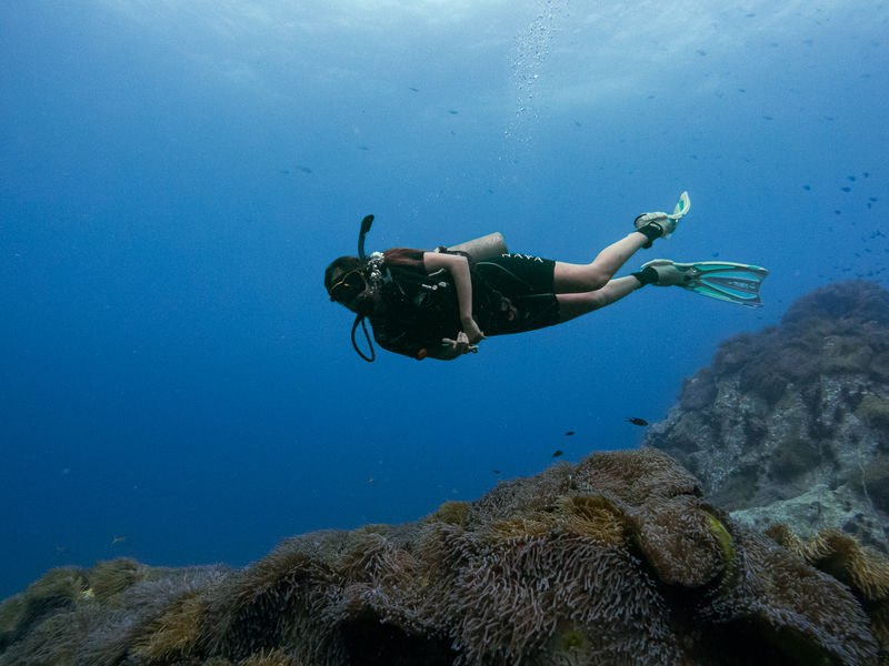 Nava Scuba Diving PADI 5 Stars Dive Center Experience in Koh Tao - Two Underwater Sites in About Four Hours