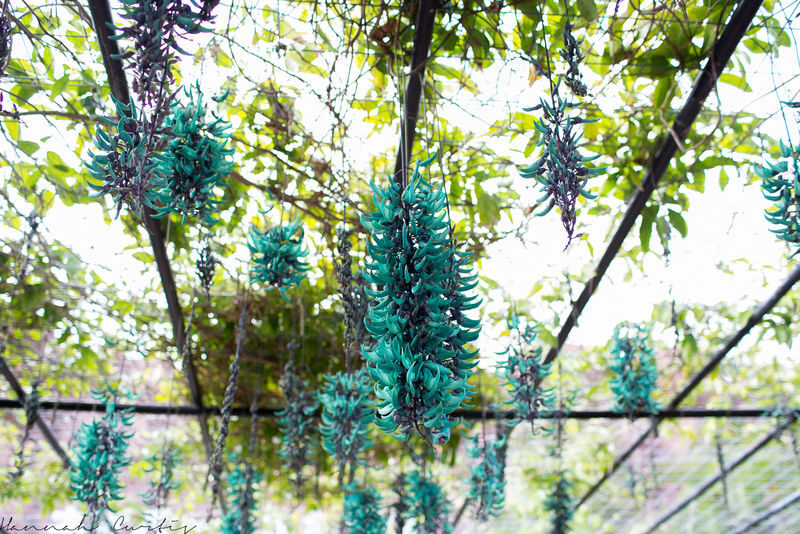 Neo Park Okinawa Ticket - A Garden Walk With Animals Along the Way