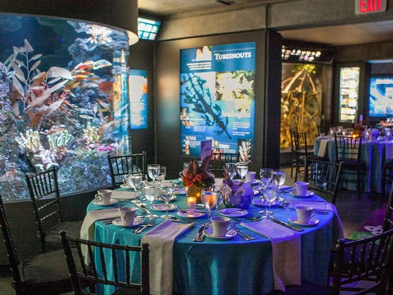 New England Aquarium Ticket - Penguins, sea lions and the animals around them