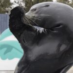 New York Aquarium ticket - Look for seals, otters, and other familiar favorites