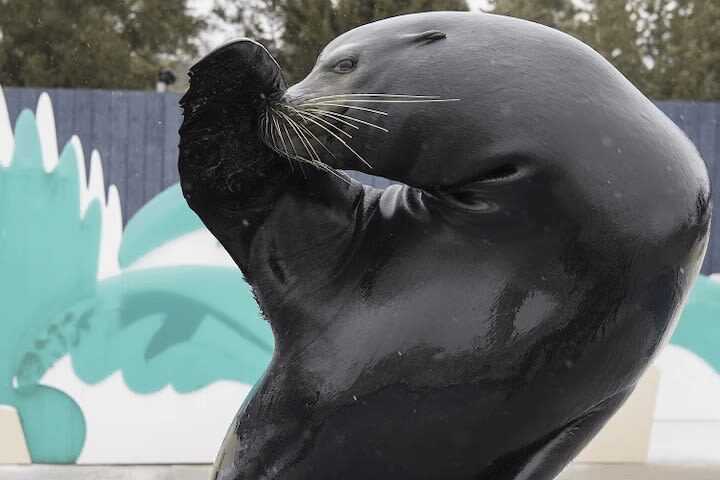 New York Aquarium ticket - Look for seals, otters, and other familiar favorites