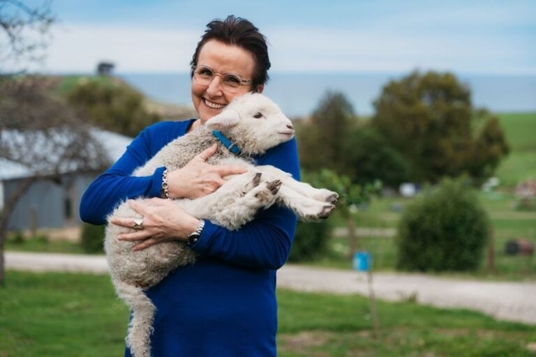 New Zealand Sheep Farm Trip with Lunch and Winery Day Tour - A farm-made picnic at Louise’s Lookout