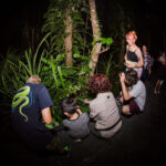Night Walk Photography Tour at the Cairns Botanic Gardens - Starting at the main entrance at 7 pm
