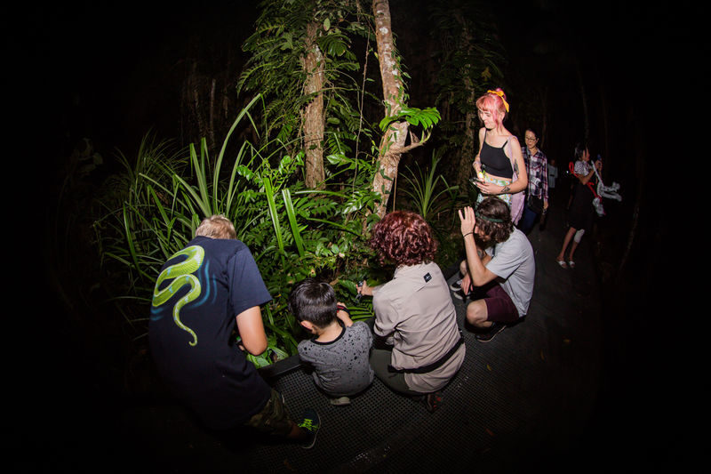 Night Walk Photography Tour at the Cairns Botanic Gardens - Starting at the main entrance at 7 pm