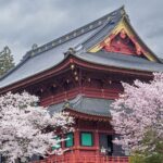 Nikko Private Day Trip (Tokyo Departure) - Kegon Falls brings the sound and scale