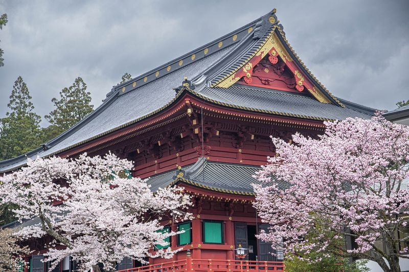 Nikko Private Day Trip (Tokyo Departure) - Kegon Falls brings the sound and scale