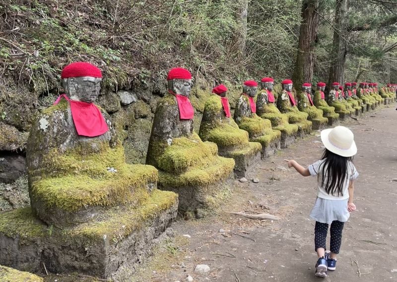 Nikko World Heritage Walking Tour with Toshogu Shrine & Lunch - Kanmangafuchi Abyss and its stone Jizo