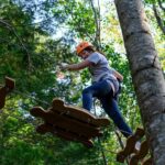 Niseko Hanazono Resort Ezo Fuji Mt. Yotei Tree Trekking - What the three-hour visit feels like