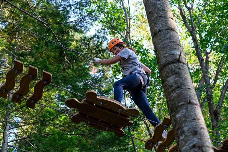 Niseko Hanazono Resort Ezo Fuji Mt. Yotei Tree Trekking - What the three-hour visit feels like