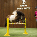 Northern Horse Park Ticket in Tomakomai, Hokkaido - The included ride is short, but close-up