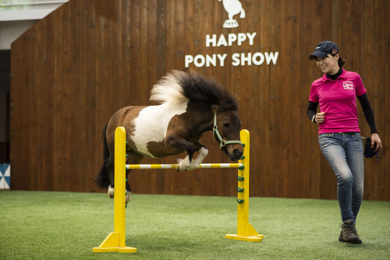 Northern Horse Park Ticket in Tomakomai, Hokkaido - The included ride is short, but close-up