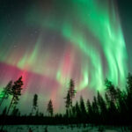 Northern Lights Photography Tour from Rovaniemi - From Rovaniemi to the night sky