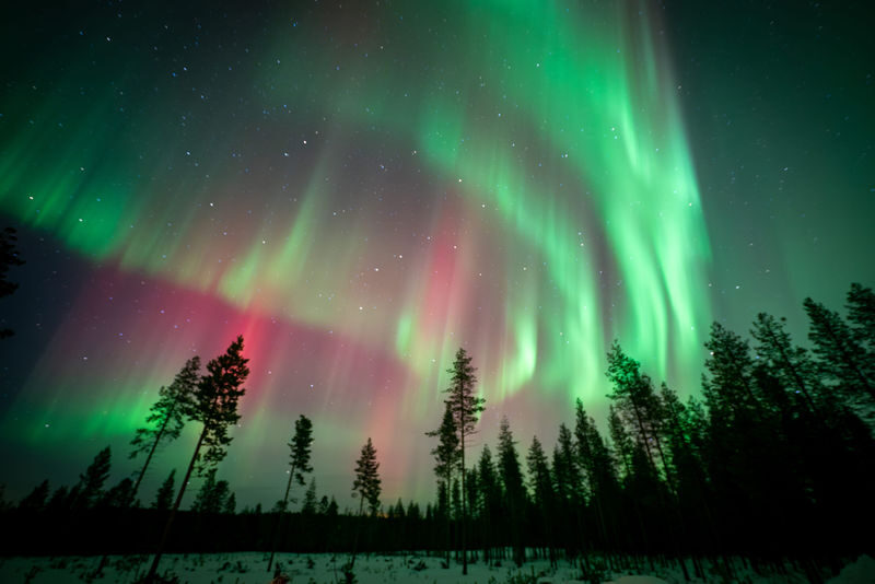 Northern Lights Photography Tour from Rovaniemi - From Rovaniemi to the night sky