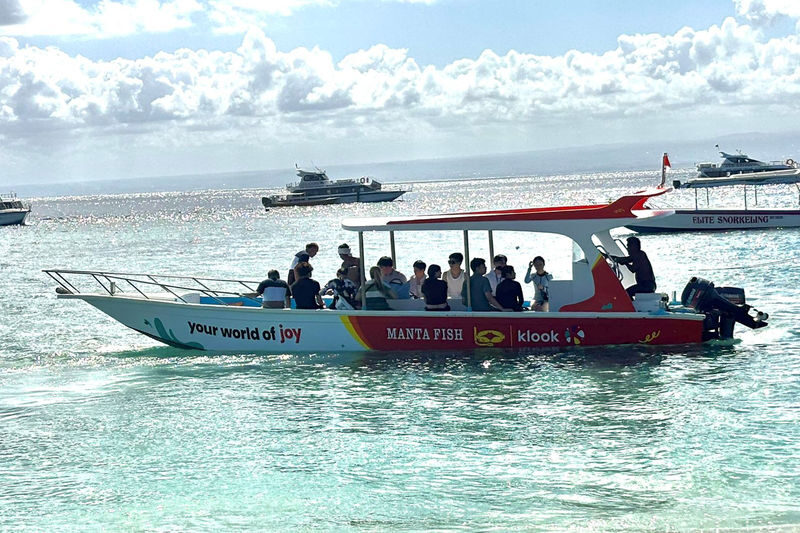 Nusa Penida Day Tour & Snorkeling Depart from Nusa Penida - Kelingking and the West Coast cliffs