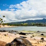Oahu Circle Island Tour with Malasadas and Garlic Shrimp - Treasures and You, then malasadas