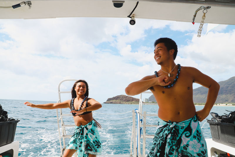 Oahu Dolphin Cruise with Water Activities, Pickup & Lunch Included - Snorkeling with honu and tropical fish