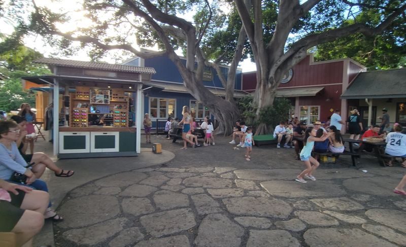 Oahu North Shore Circle Island Adventure + Swimming with Turtles - Diamond Head and the southeastern coast
