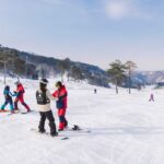 Oak Valley Ski/Snowboard/CookieRun/Stone Creek Ice Wall Day Tour - Pick a package that matches your day