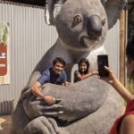Oakvale Wildlife Park Ticket - Start with the animals, then follow the day’s schedule