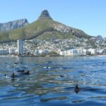 Ocean Wildlife Encounter - Wildlife encounters, not a guaranteed checklist