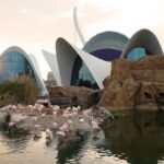 Oceanografic Aquarium Admission in Valencia - Inside the aquarium: varied habitats and a shark tunnel