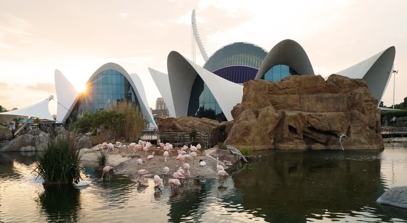 Oceanografic Aquarium Admission in Valencia - Inside the aquarium: varied habitats and a shark tunnel