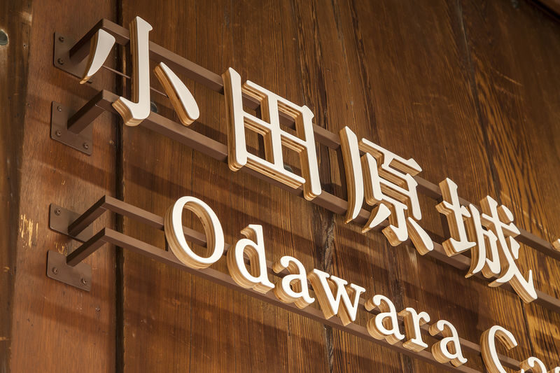 Odawara Castle Admission Ticket in Kanagawa - From the park gates to the castle tower