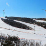 OFFICIAL: Eden Valley Ski Day Tour from Busan - Choosing between skis, a snowboard, and a sled