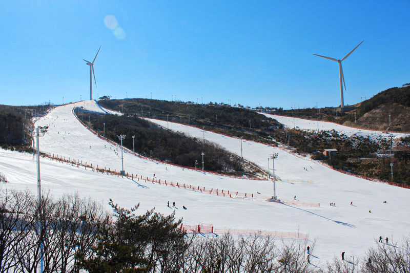 OFFICIAL: Eden Valley Ski Day Tour from Busan - Choosing between skis, a snowboard, and a sled