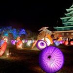 Okayama Castle Ticket - From the castle grounds to the top floor