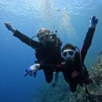 Okinawa: Blue Cave Experience Diving - Includes GoPro Photos & Underwater Fish Feeding (Private Group for Each Booking) - Fish, photos and the small details that make it fun