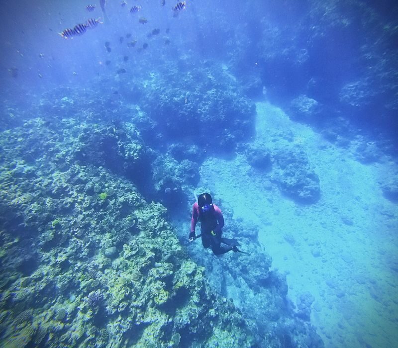 Okinawa Blue Cave Fun Free Diving (Boat entry/Free photography) - A first breath-hold swim, with an instructor nearby