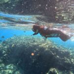 Okinawa: Blue Cave Snorkeling & Diving Experience - What the two-hour outing actually includes