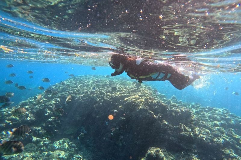 Okinawa: Blue Cave Snorkeling & Diving Experience - What the two-hour outing actually includes