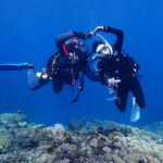 Okinawa: Blue Cave Snorkeling Experience - What happens from meeting point to cave
