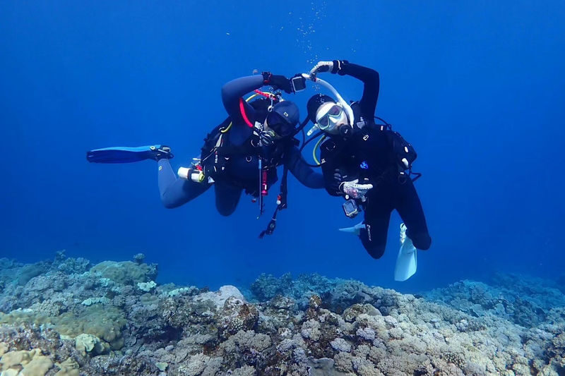 Okinawa: Blue Cave Snorkeling Experience - What happens from meeting point to cave