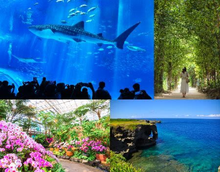Okinawa Churaumi Aquarium & Kouri Island Full-Day Sightseeing Bus Tour - Boarding early and settling in for the drive