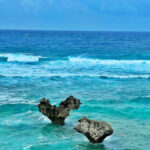 Okinawa Churaumi Aquarium, Kouri Island & Manzamo Experience - Churaumi Aquarium: the main attraction