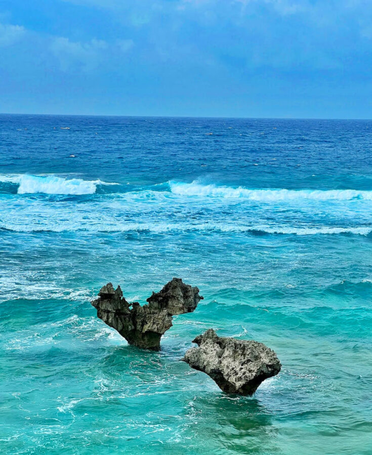 Okinawa Churaumi Aquarium, Kouri Island & Manzamo Experience - Churaumi Aquarium: the main attraction