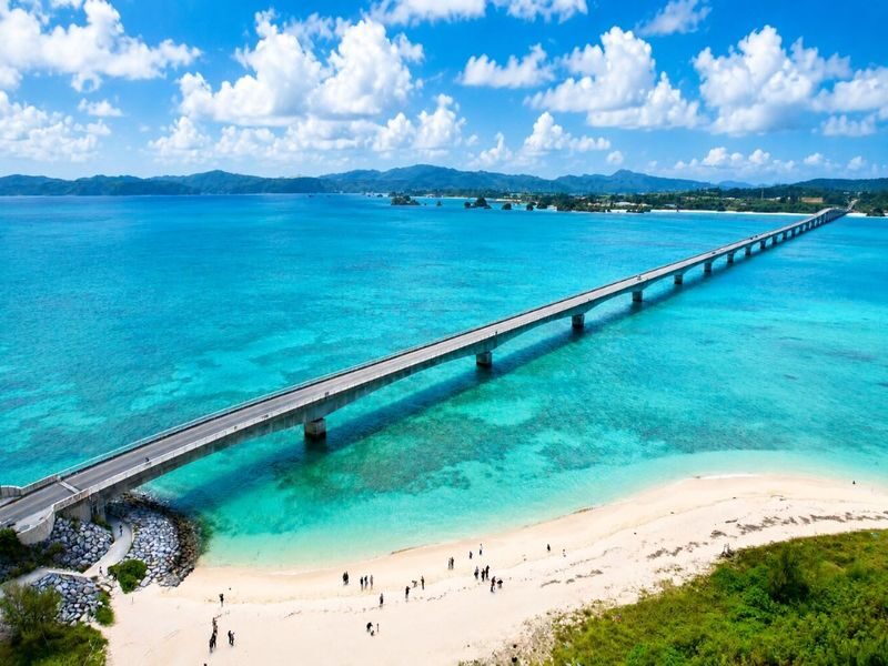 Okinawa Churaumi Aquarium & Kouri Shrimp Full-Day Tour - Churaumi Aquarium: plan around your priorities