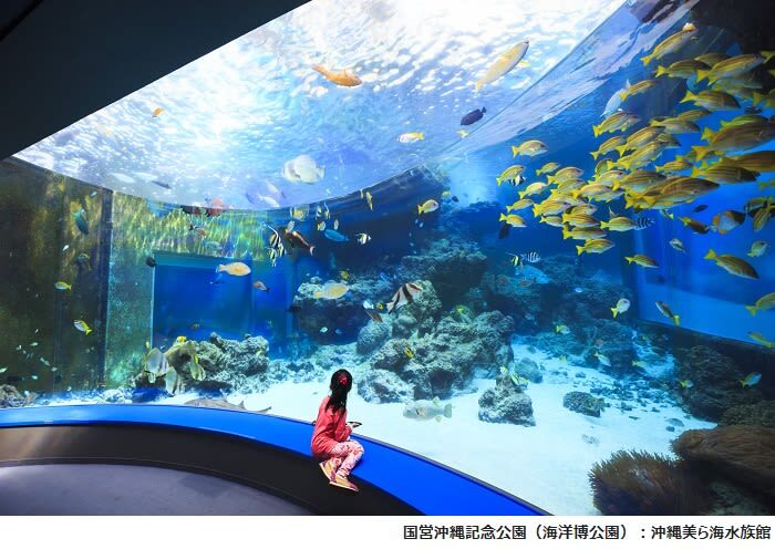 Okinawa Churaumi TokuToku 5 Pass / 3 Pass - Making Churaumi Aquarium the anchor